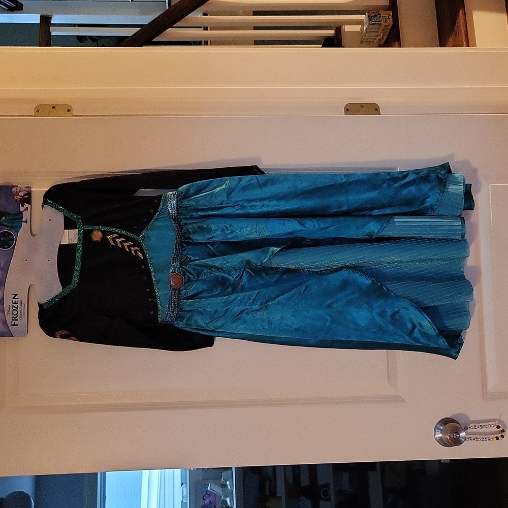 Disney Frozen costume - Queen Anna
